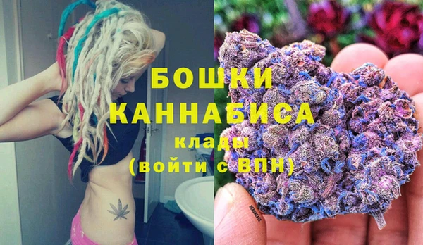 гидра Заводоуковск