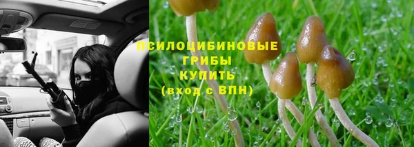 марки lsd Зеленодольск