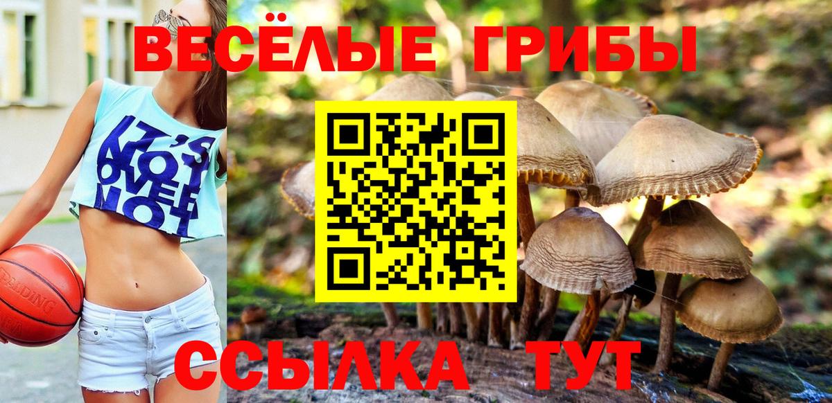 Галлюциногенные грибы Magic Shrooms Россия